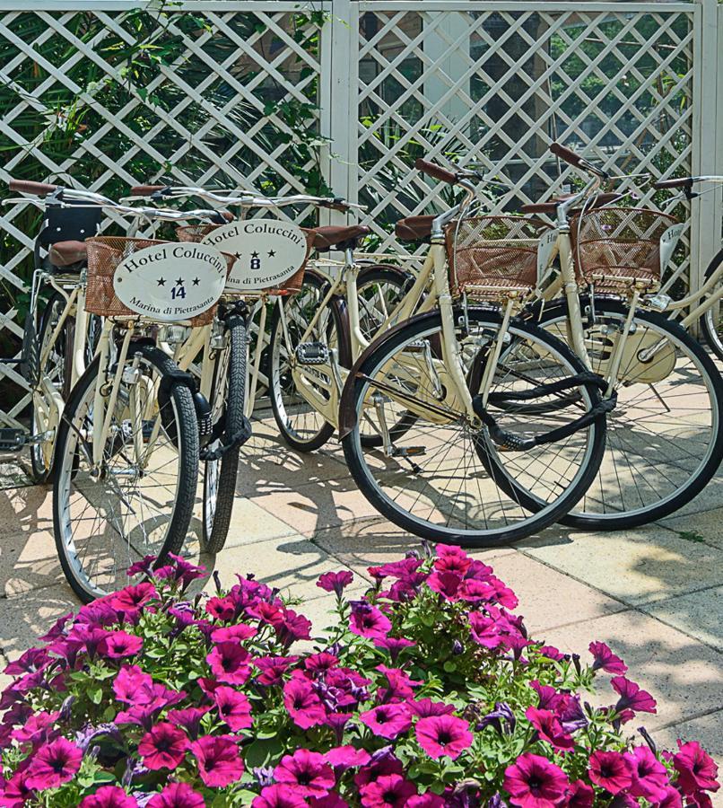 Hotel Coluccini Марина ди Пиетрасанта Екстериор снимка